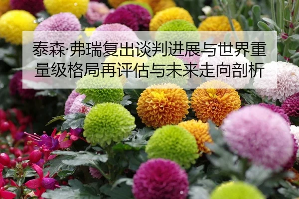 tai-sen-fu-rui-fu-chu-tan-pan-jin-zhan-yu-shi-jie-zhong-liang-ji-ge-ju-zai-ping-gu-yu-wei-lai-zou-xiang-pou-xi-2-416.jpg